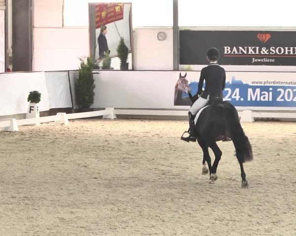 Reitturnier Karlsfeld/Obb. 2020
