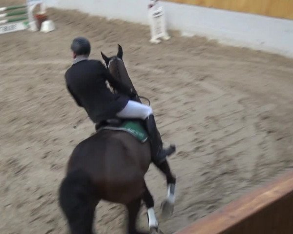 Reitturnier Monheim - Gut Blee 2020