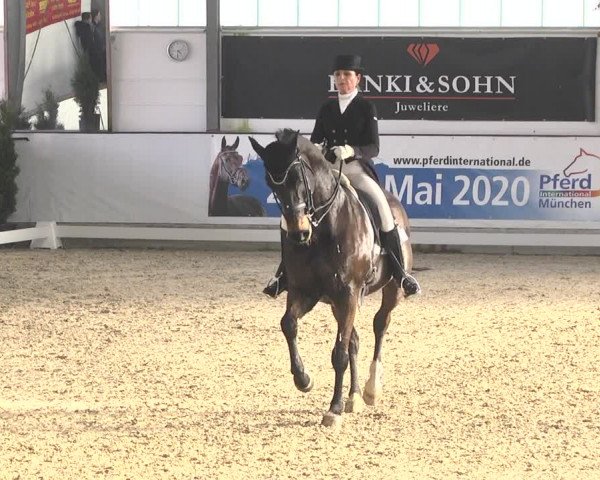 Reitturnier Karlsfeld/Obb. 2020