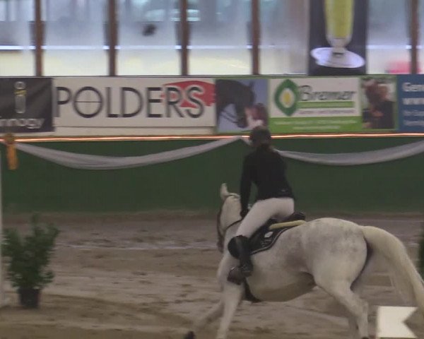 Reitturnier Keppeln - Reitanlage "Hötzenhof" 2020