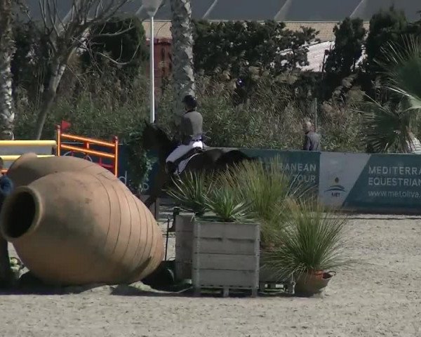 MET II Oliva - Woche 2 (ESP) 2020