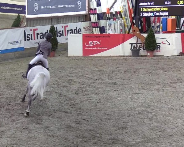 Nordic Jumping events 2020: Turnierergebnisse + Videos