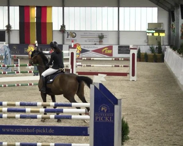 Reitturnier Karlsfeld/Obb. 2020