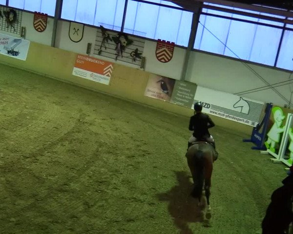Reitturnier Borgholzhausen-Westbarthausen 2020