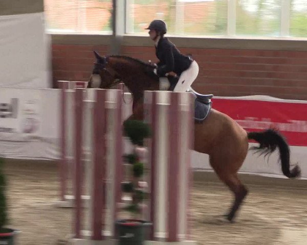 Reitturnier Greven 2020