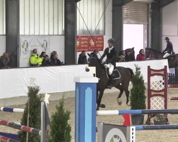 Reitturnier Karlsfeld/Obb. 2020