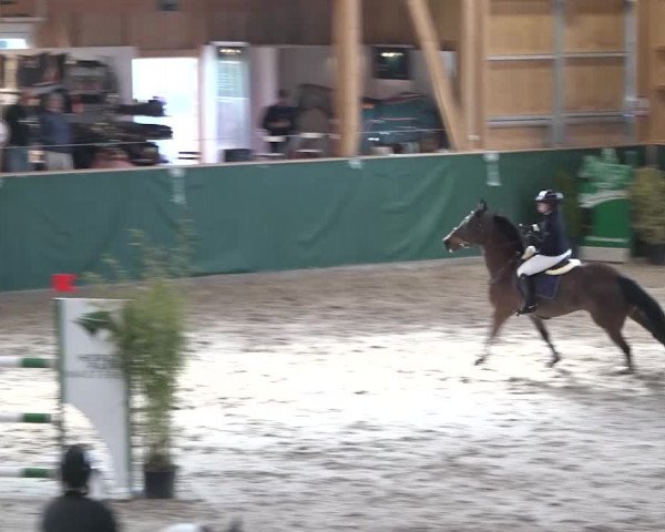 Reitturnier Dielsdorf, Horsepark 2020