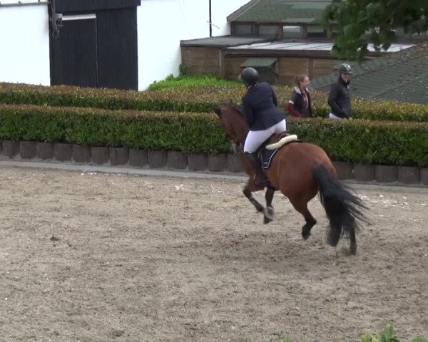 Reitturnier Wipperfürth-Kreuzberg 2020