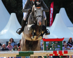 jumper Forchello (Westphalian, 2006, from For Pleasure)
