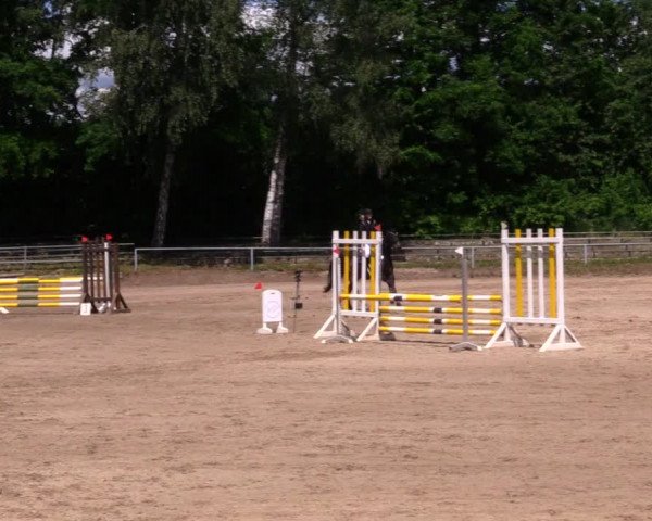 Reitturnier Lgl.-Oberhain, B95 2020