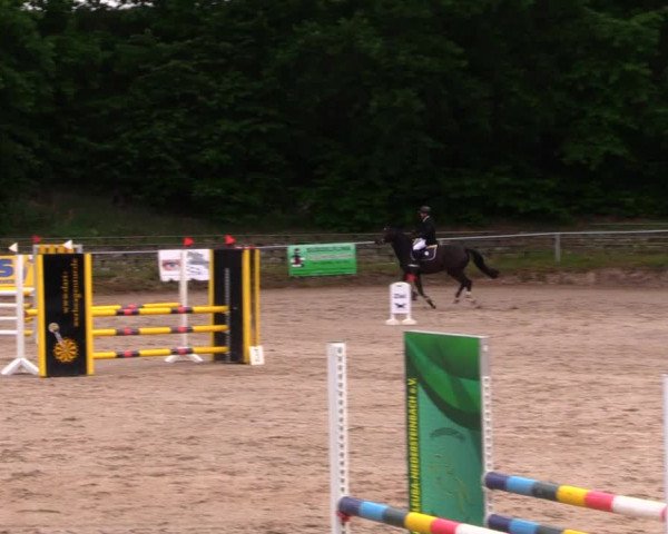 Reitturnier Lgl.-Oberhain, B95 2020