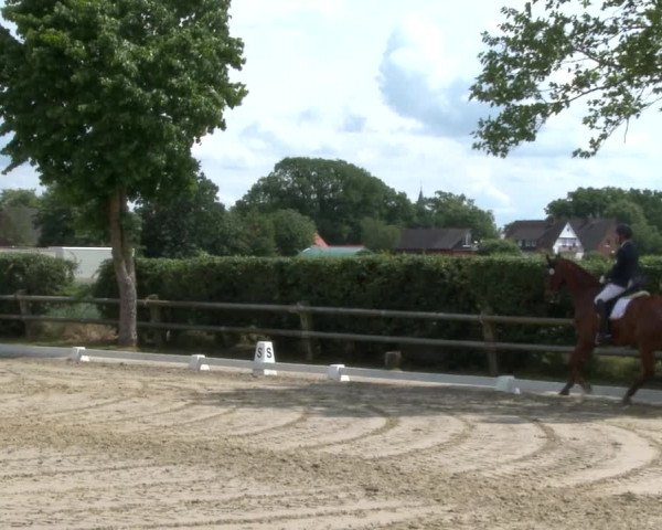 Reitturnier Niedernstöcken 2020