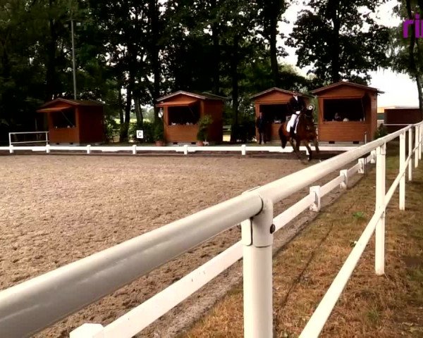 Reitturnier Heiden 2020