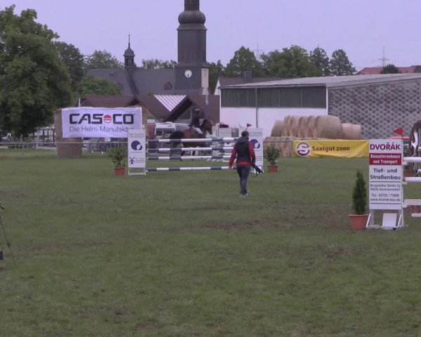 Reitturnier Altmittweida 2020