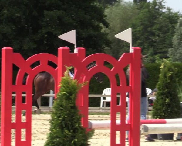 Reitturnier Münster-Handorf 2020