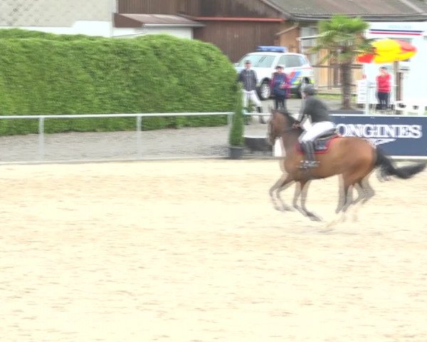 Reitturnier Galgenen 2020