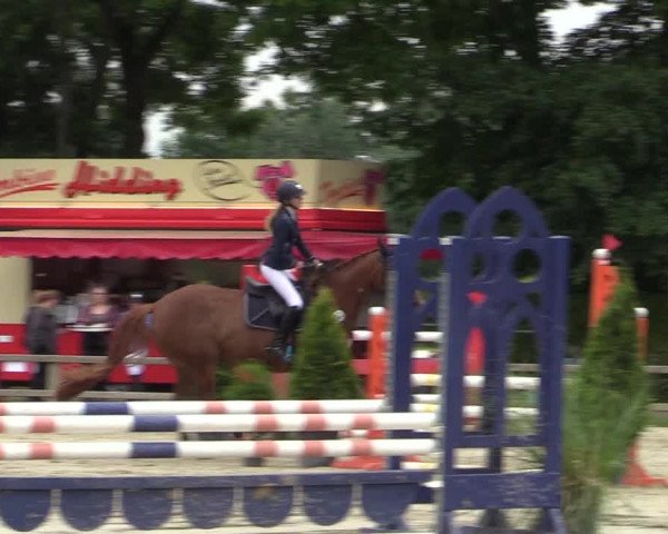 Reitturnier Münster-Handorf 2020
