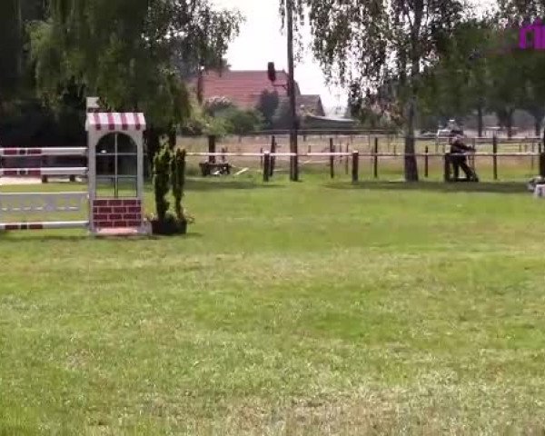 Reitturnier Hille 2020