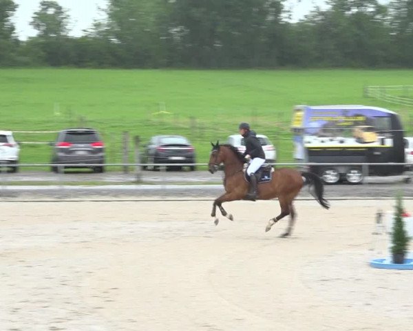 Reitturnier Galgenen 2020