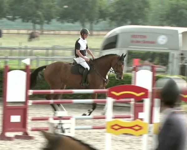 Reitturnier Neustadt/Dosse 2020