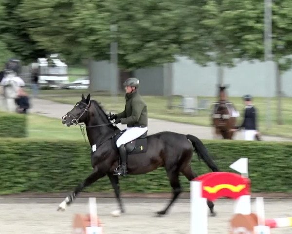 Reitturnier Neustadt/Dosse 2020