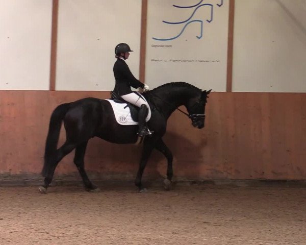 Reitturnier Halver 2020