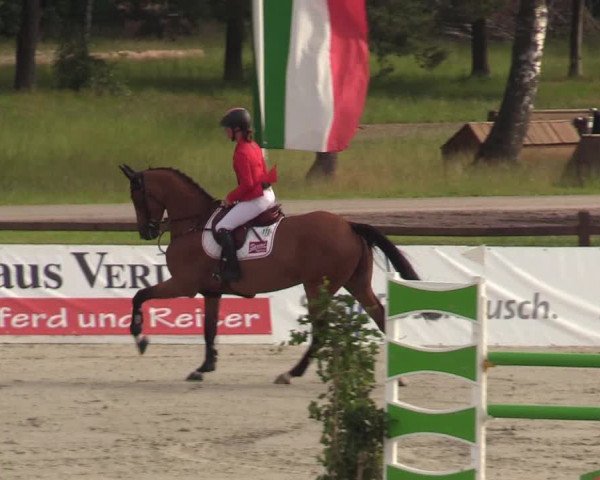 Reitturnier CSI** Westergellersen 2020