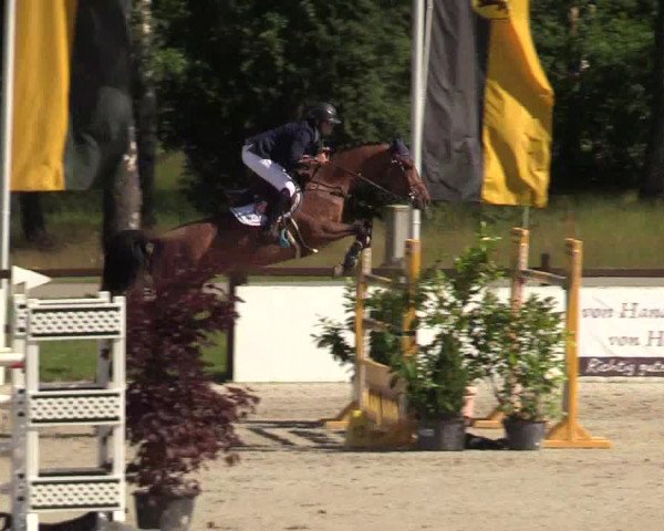 Reitturnier CSI** Westergellersen 2020