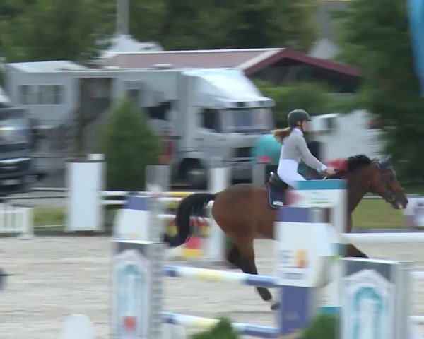 Reitturnier Grafenrheinfeld/Ufr. 2020
