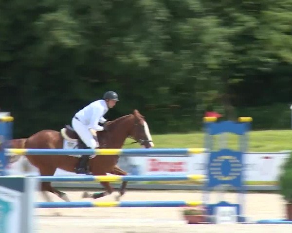 Reitturnier Grafenrheinfeld/Ufr. 2020