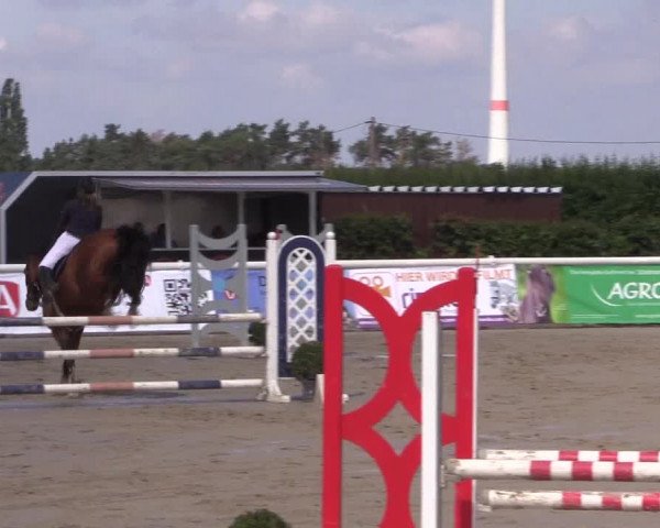 Reitturnier Niedernstöcken 2020