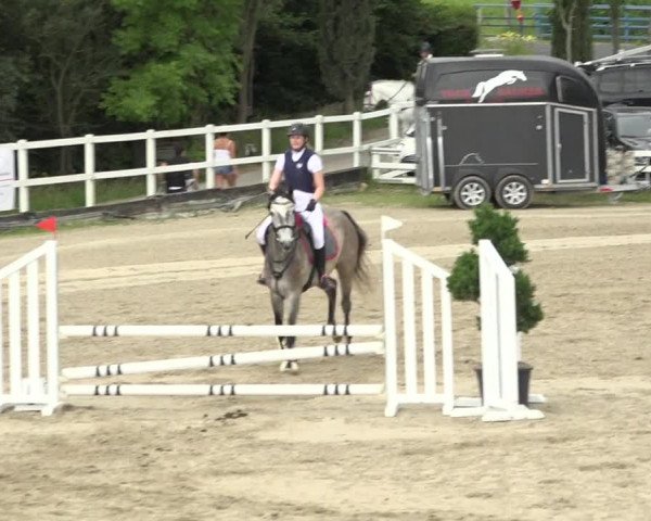 Reitturnier Aesch (Neftenbach) 2020