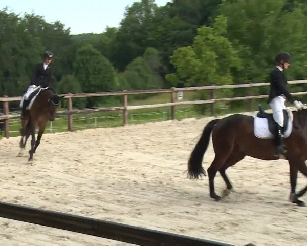 Reitturnier Birkenreuth/Ofr. 2020