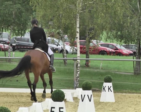 Reitturnier Reitanlage Birkenhof, Perl-Sinz 2020