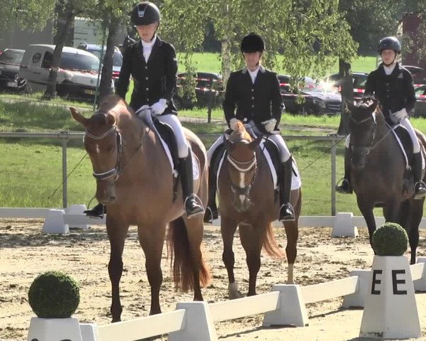 Reitturnier Reitanlage Birkenhof, Perl-Sinz 2020