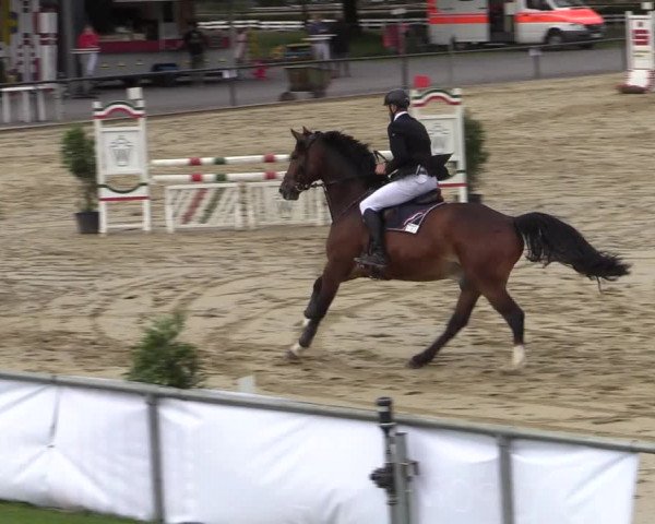 Reitturnier Hamm-Rhynern 2020