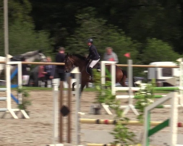 Reitturnier Halver 2020