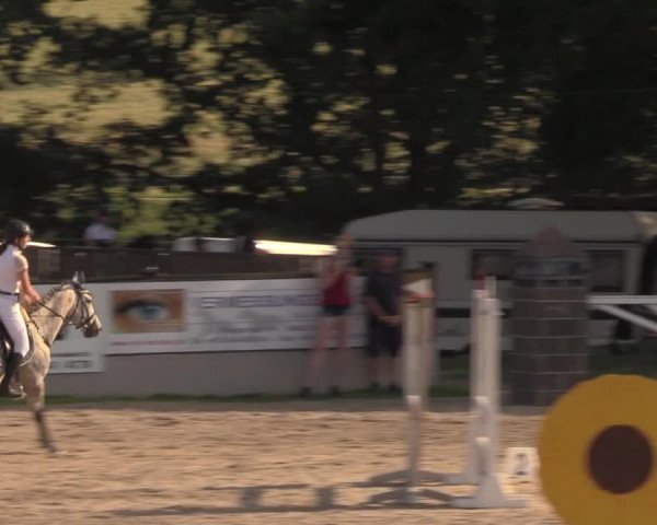 Reitturnier Lgl.-Oberhain, B95 2020