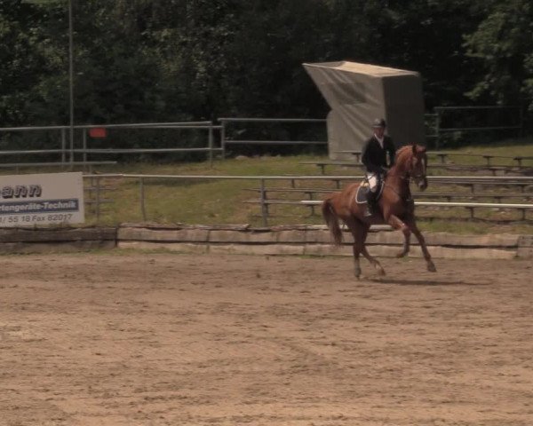Reitturnier Lgl.-Oberhain, B95 2020