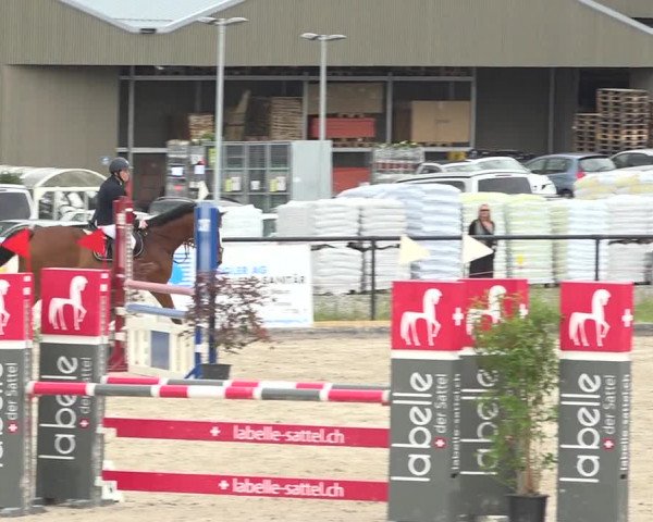 Reitturnier Gossau (Stall Sommersweid) 2020