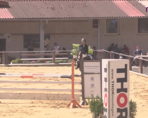 Reitturnier Uder, Reitanlage Kobold 2020
