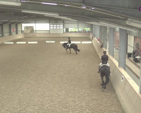 Reitturnier Ahaus 2020