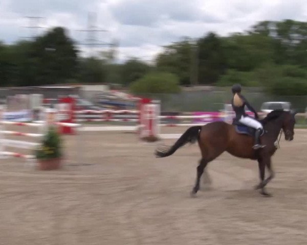 Reitturnier Kleinostheim/Ufr. 2020