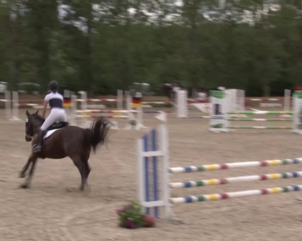 Reitturnier Kleinostheim/Ufr. 2020