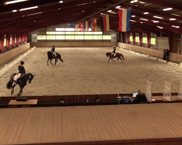 Reitturnier Süderlügum 2020