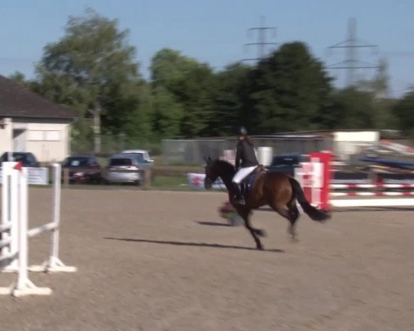 Reitturnier Kleinostheim/Ufr. 2020
