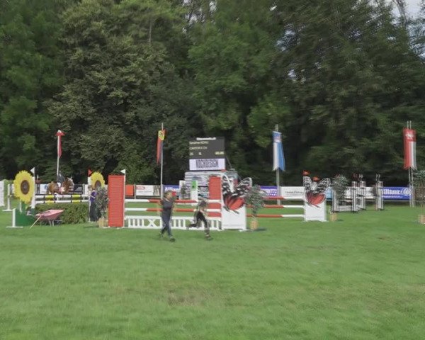 Reitturnier Kappelen-Lyss 2020