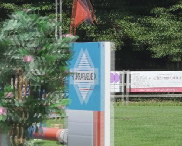 Reitturnier Kappelen-Lyss 2020