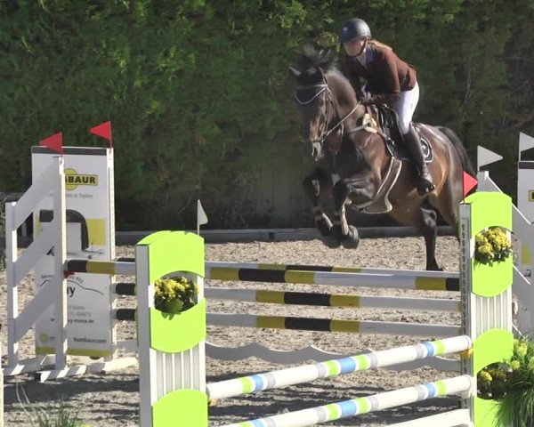 Reitturnier Worms-Pfeddersheim / Reitsportanlage Wittemer 2020