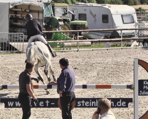 Reitturnier Worms-Pfeddersheim / Reitsportanlage Wittemer 2020
